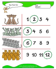 Kaç Tane Var Çalışma Sayfaları